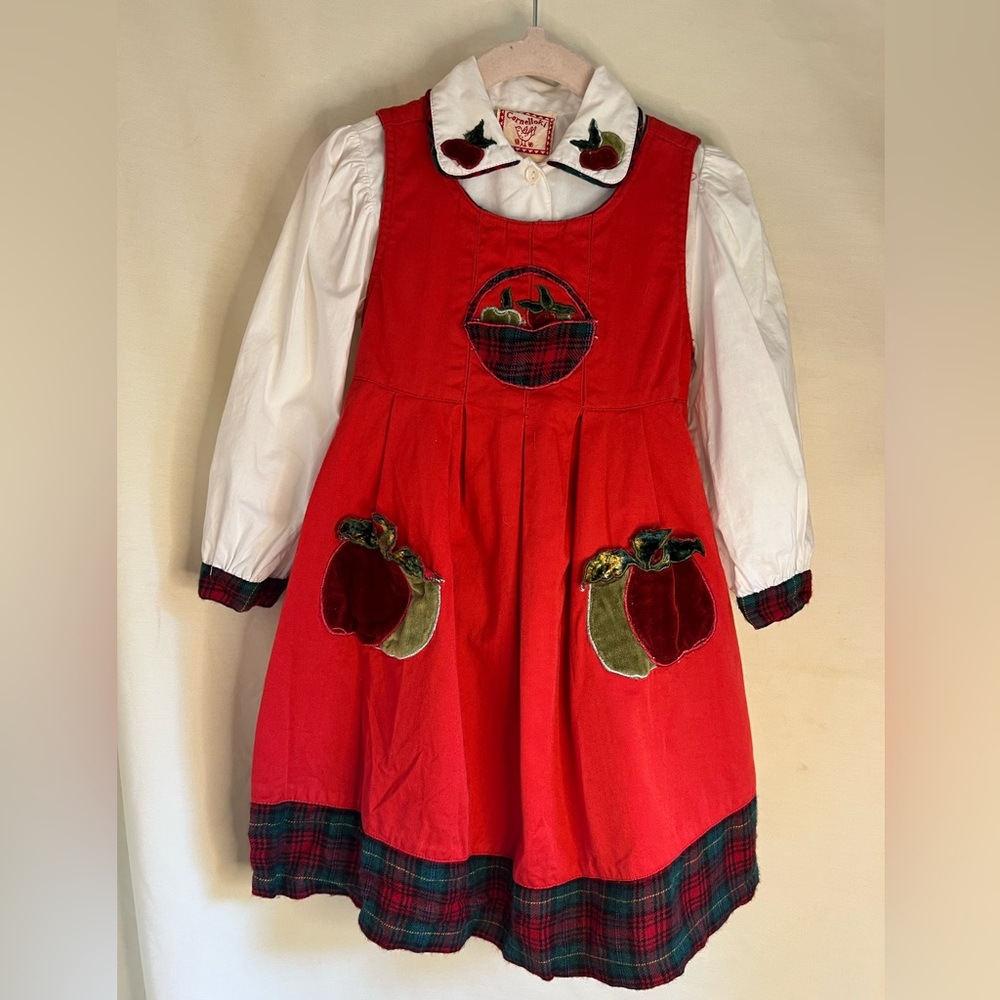 EUC Cornelloki Fall Apple Dress Size 2